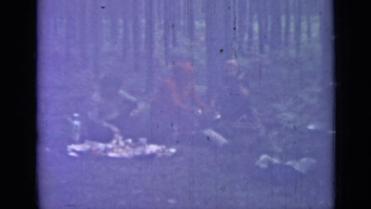 People seated on the ground in a wooded area around a light blanket or picnic items.
