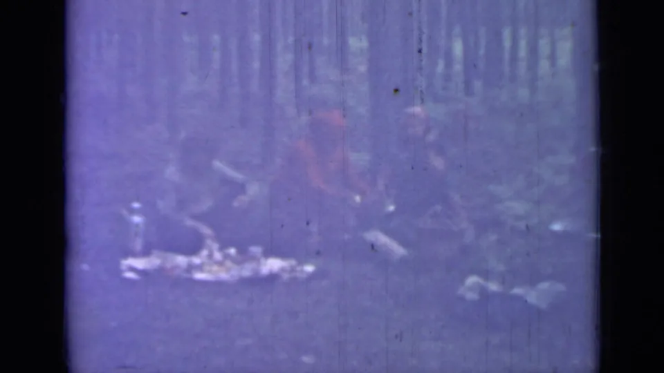 1967 Saint Petersburg home-movie frame showing adults seated low in a wooded setting around picnic items, with a strong purple film cast.