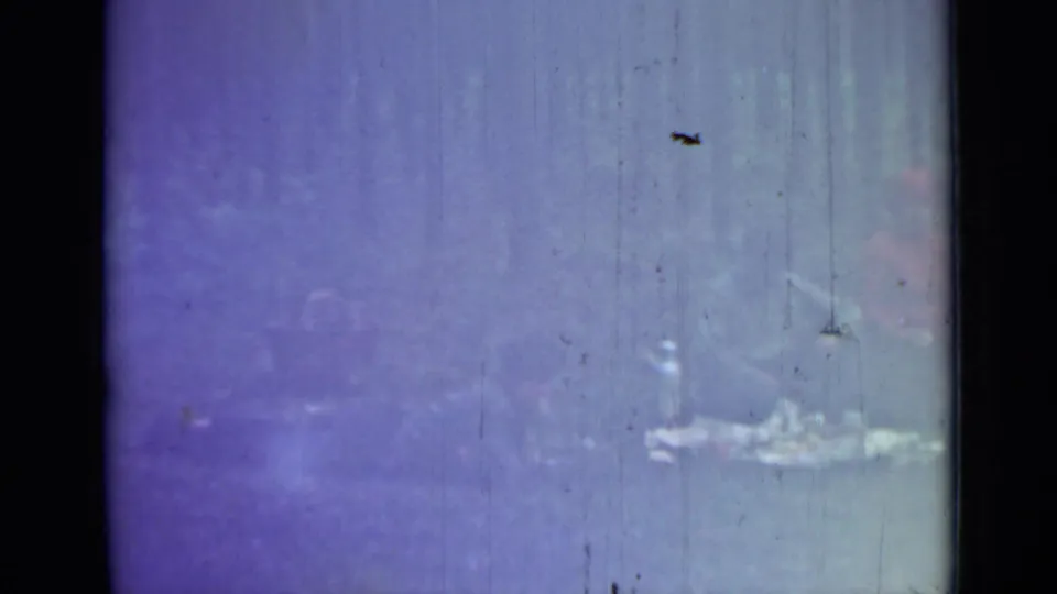Soft 1967 home-movie frame with people seated near a pale picnic blanket or food spread, surrounded by tall trees.