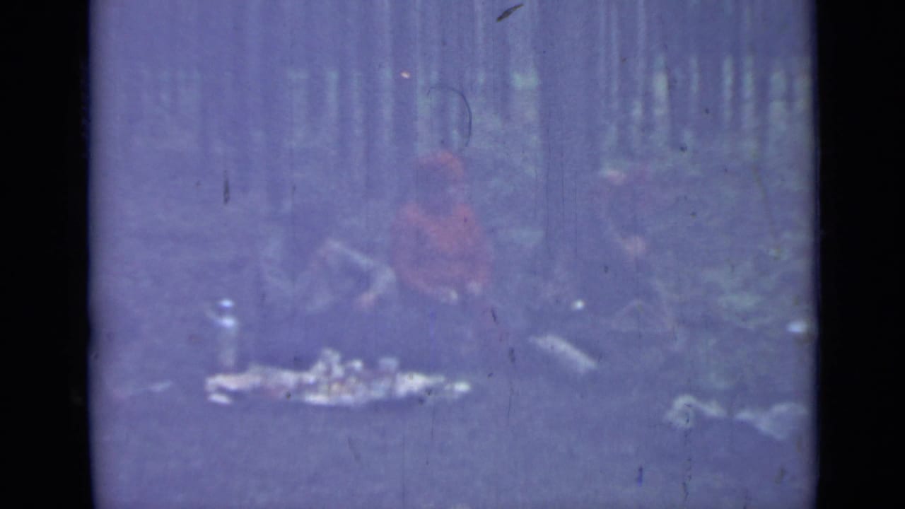 Soft blue-purple forest scene with seated people faintly visible near the ground.