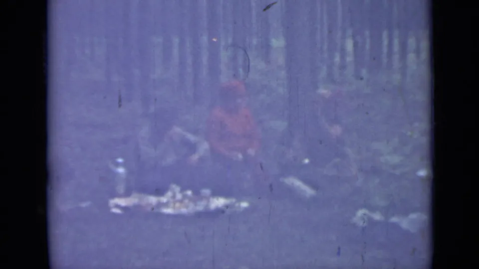 1967 home-movie frame near Saint Petersburg showing people seated in a wooded area, softened by aged 8mm color shift and scratches.