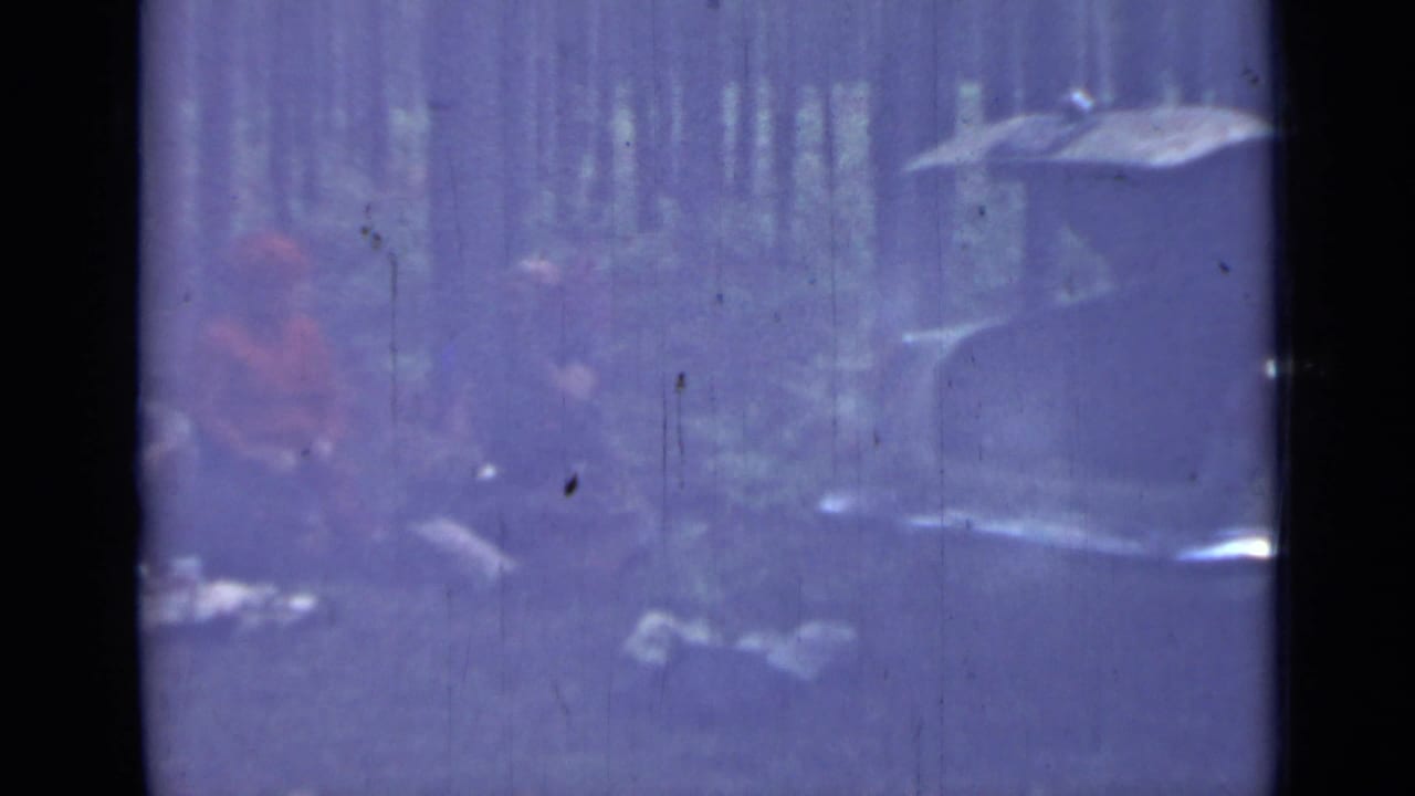 Faint forest view with seated figures and the edge of a pale car at right.