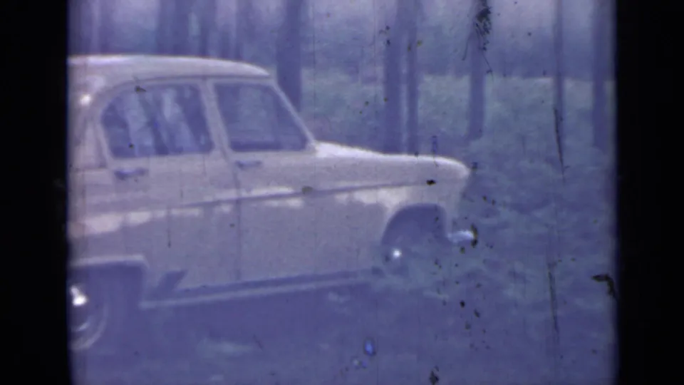 1967 8mm frame near Saint Petersburg showing a pale yellow four-door sedan beside tall trees and dense ferns.