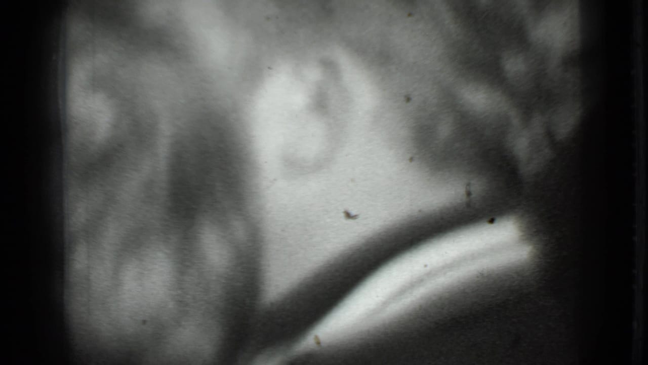 Blurred profile area with hair and ear beside a bright curved foreground shape.