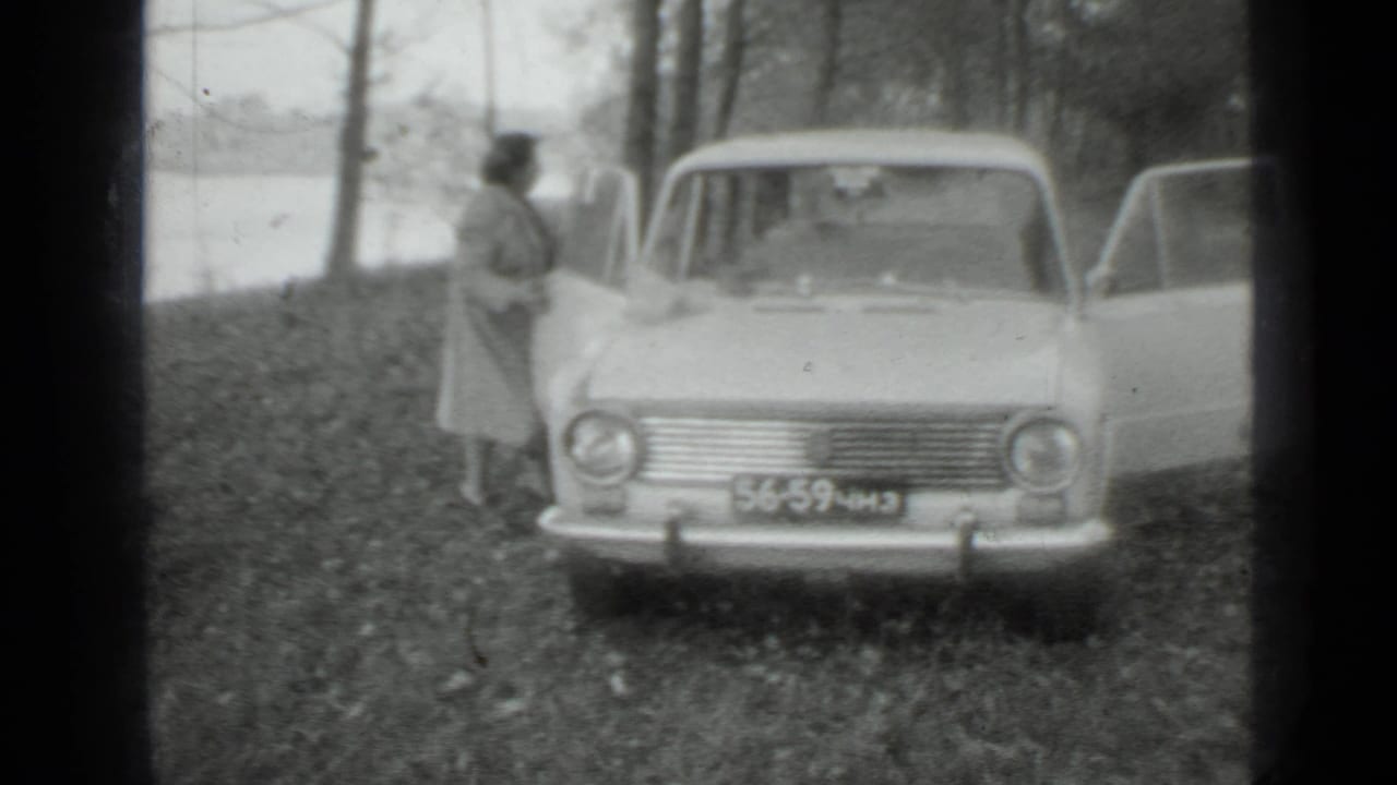 Woman in a long coat standing beside a light-colored sedan near trees and water.
