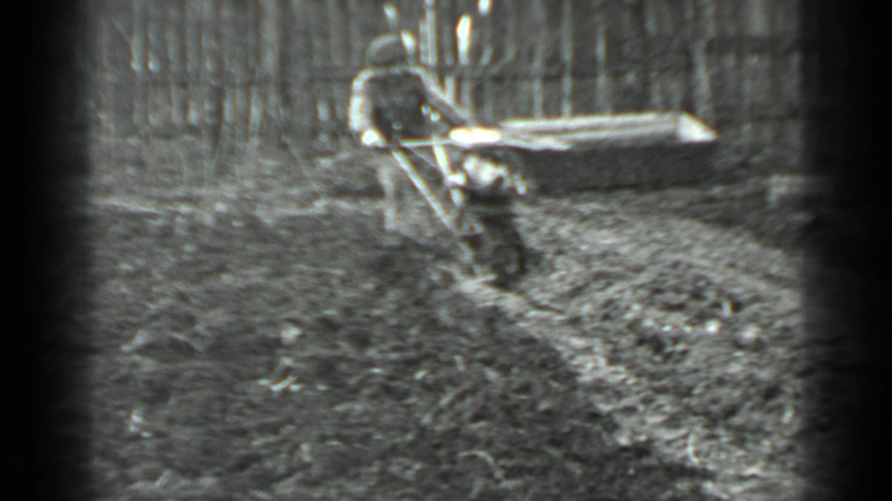 Man in a cap pulls a walk-behind tiller through muddy garden soil near a wooden fence.