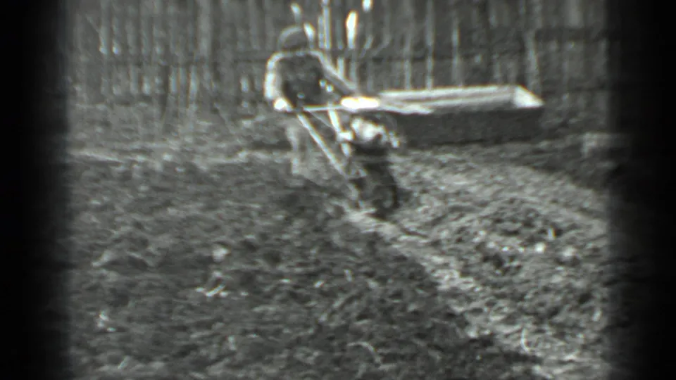 In supported Moscow 1975 home-movie footage, a man strains with a gas-powered tiller in a muddy fenced garden plot.
