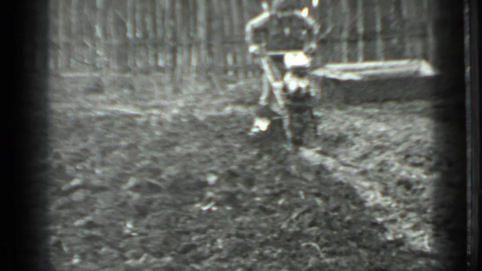A front-facing view shows the man behind the small tiller, framed by churned soil and a rustic fence in Moscow footage from 1975.