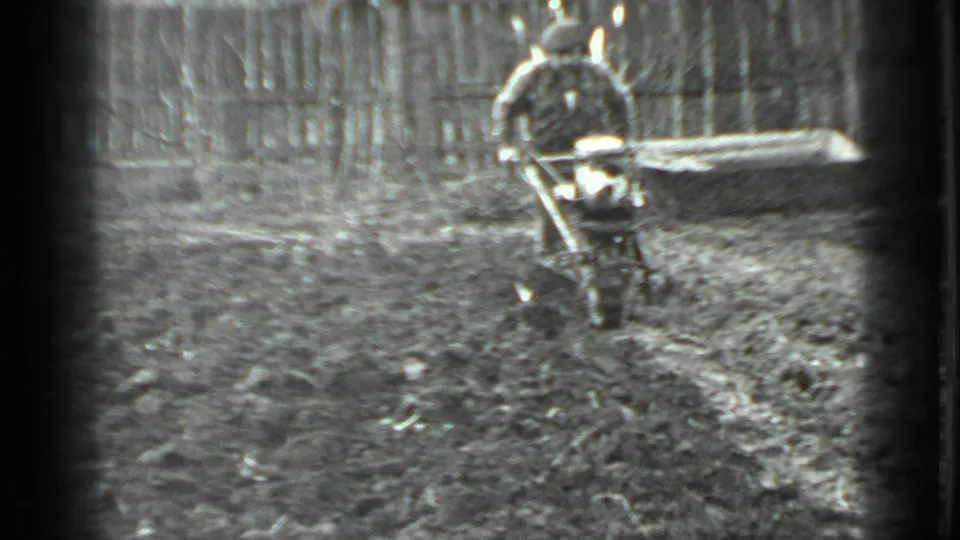 The man resumes tilling, guiding the walk-behind machine along a wet garden row in the supported 1975 Moscow home movie.