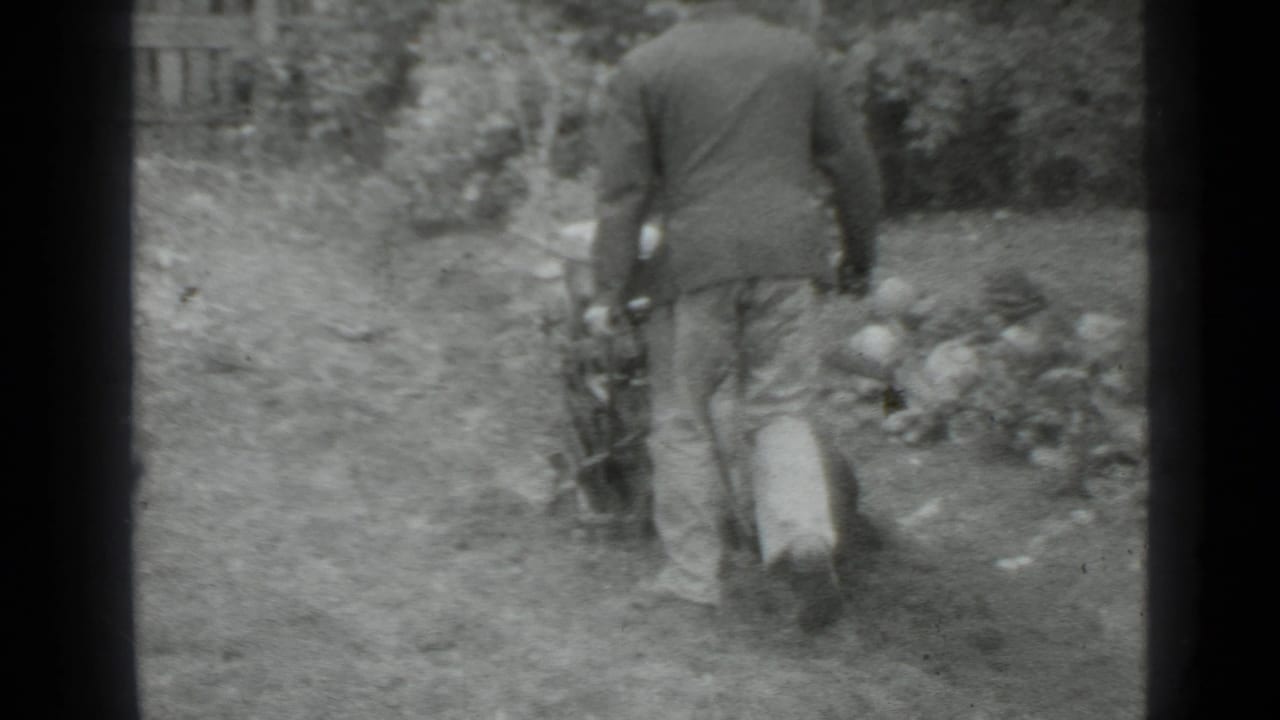 Man seen from behind pushing a manual garden tool through a grassy yard.