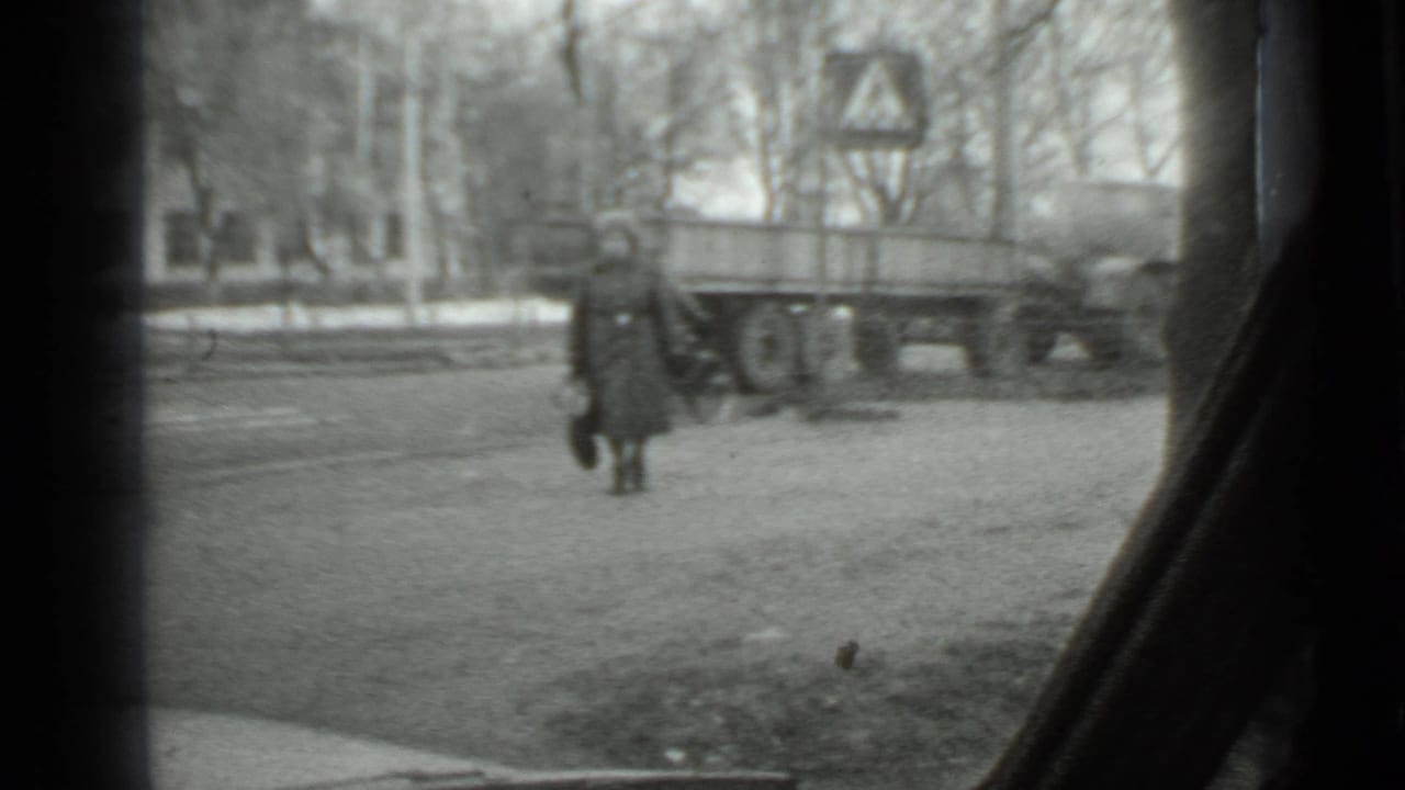 Woman with a handbag walking near a trailer and pedestrian crossing sign, viewed from inside a vehicle.