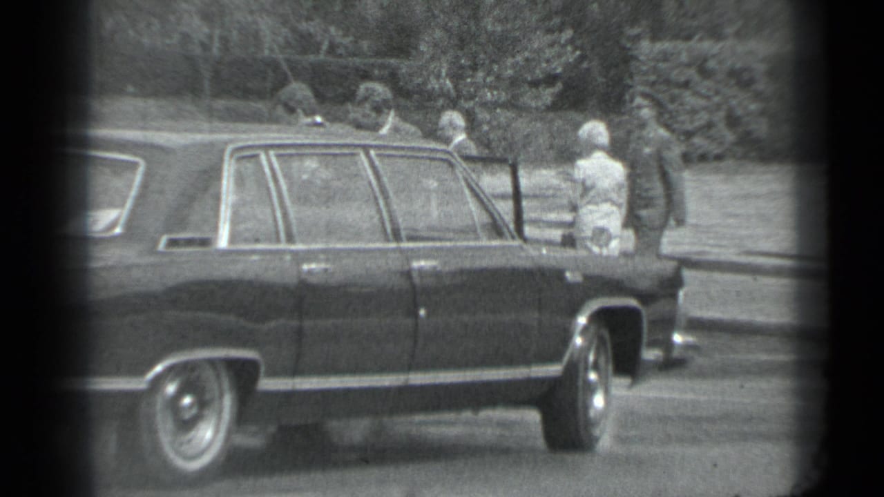 Dark sedan parked beside people in a tree-lined street or parking area.