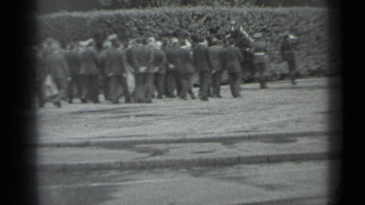 Large group of formally dressed adults standing together beside a hedge.