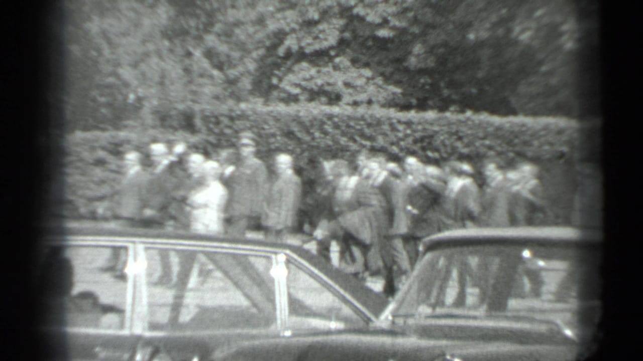 Group of adults standing near parked cars in a tree-lined outdoor area.