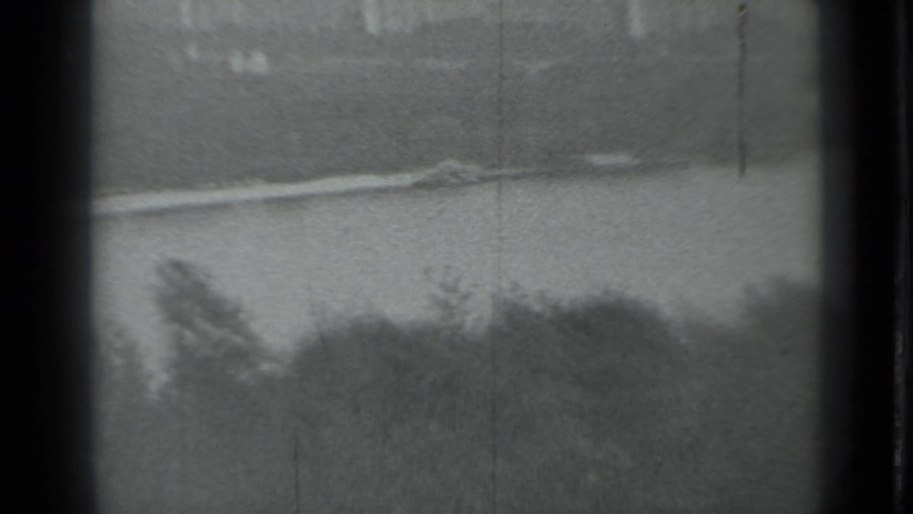 Soft black-and-white view of water, a blurred tree line, and dark 8mm frame borders.