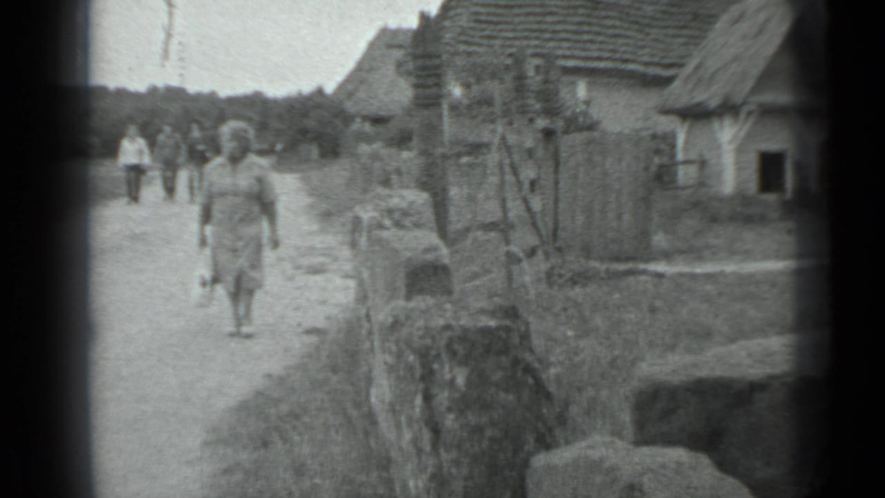 Woman on a village dirt path near a low wall, with pedestrians and houses in the background.