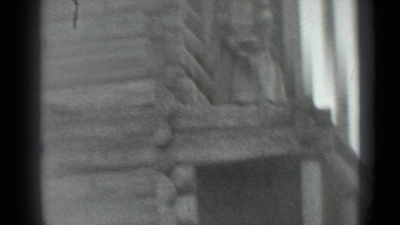 Log cabin wall and a steep wooden ladder seen in grainy black-and-white film.