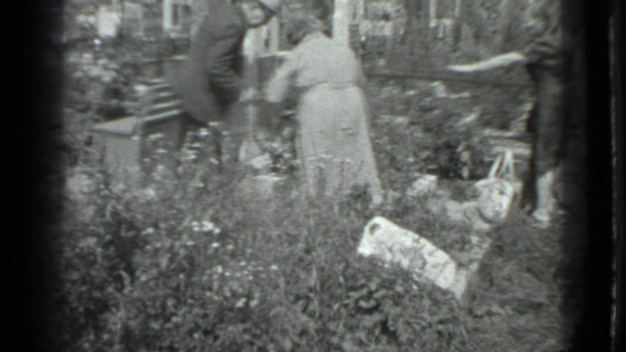 Adults stand and bend among overgrown cemetery plots with grave markers and plants visible.