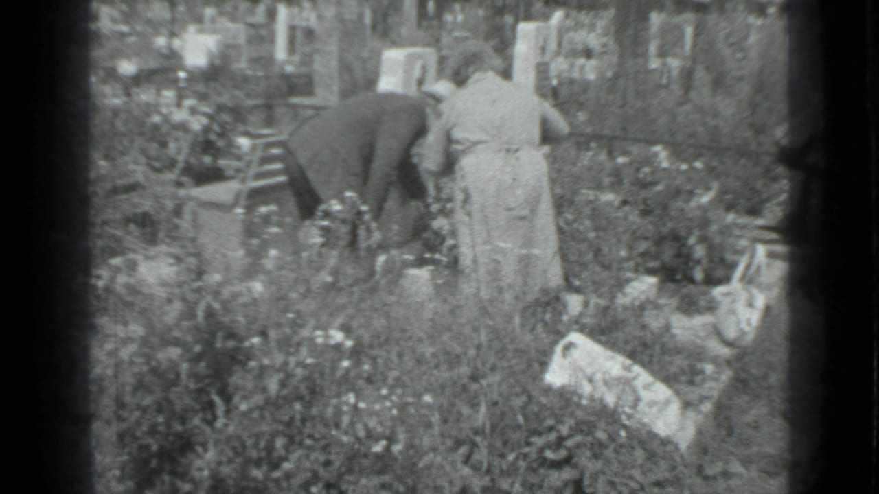 Older couple bends over plants in a garden while a younger woman stands nearby.