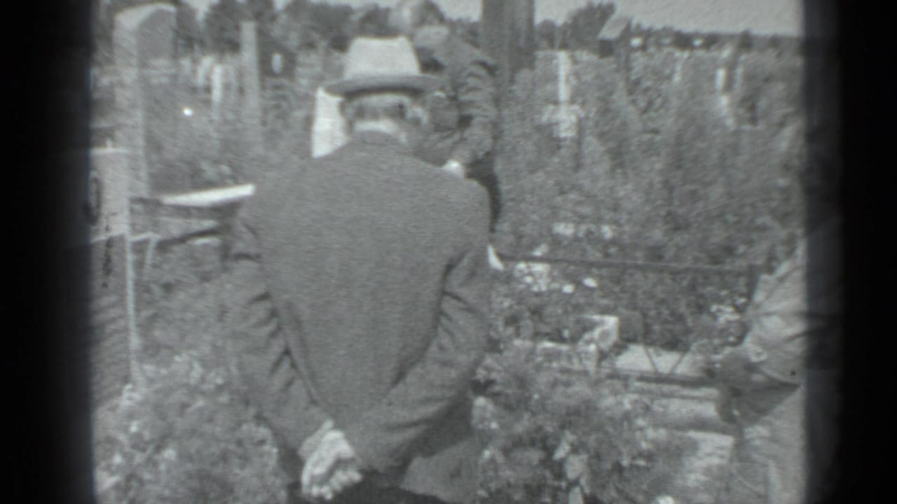 A man in a hat stands with his back to the camera among cemetery graves and flowers.