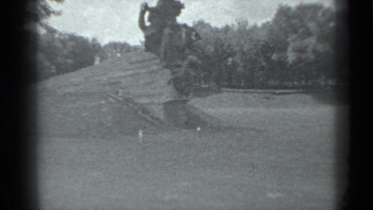 Wide steps and trees with a large statue partly visible at the upper edge.
