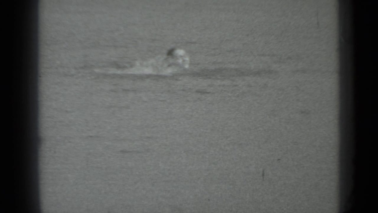 Swimmer's head just above open lake water in grainy black-and-white 8mm footage.