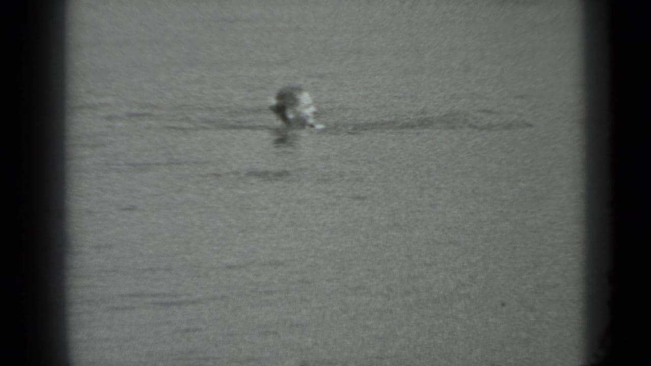 In this 1983 Moscow 8mm frame, a young woman appears at a distance with her head above rippling water.