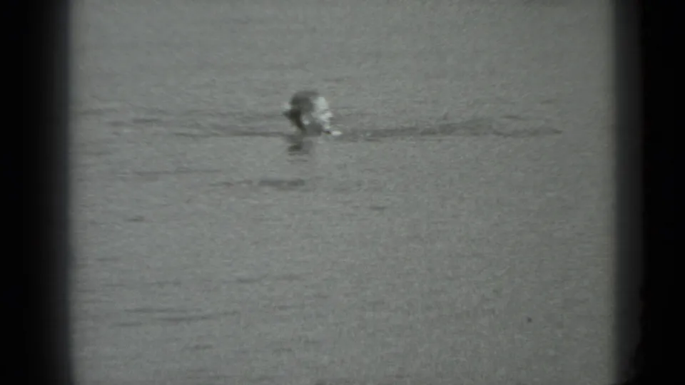 In this 1983 Moscow 8mm frame, a young woman appears at a distance with her head above rippling water.
