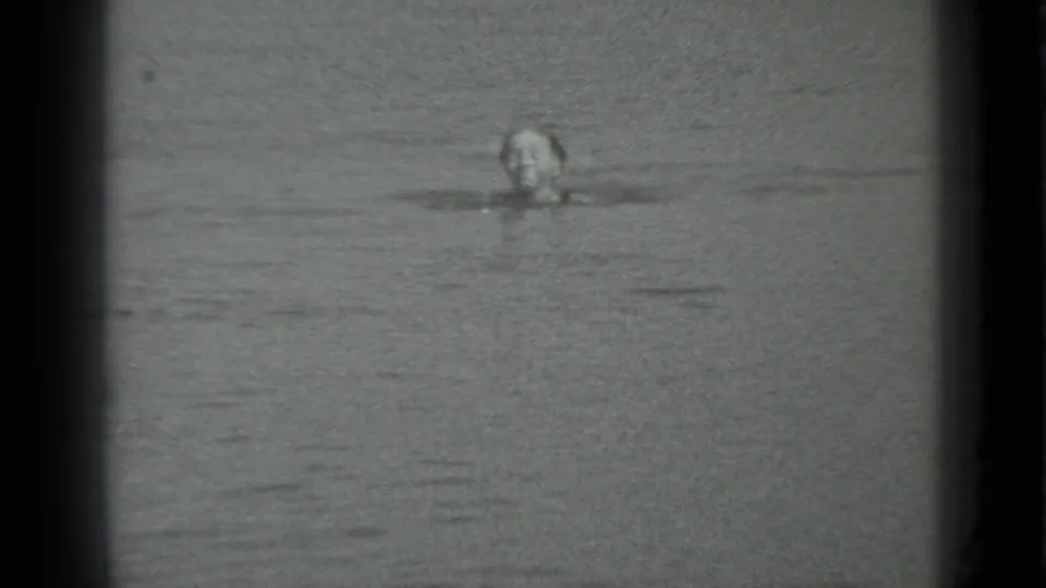A young woman in the supplied 1983 Moscow clip swims closer to the camera, her face emerging from the rippling surface.