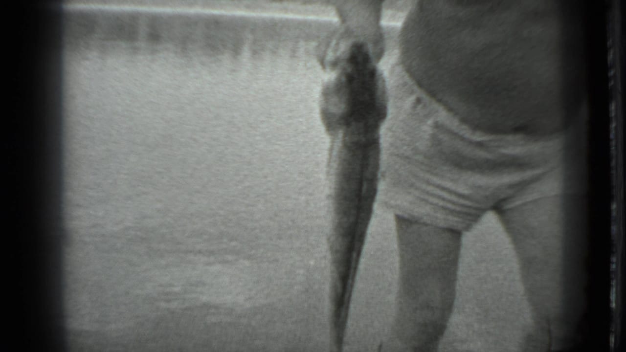 Man in swim trunks and a hat holds a long fish beside lake water.