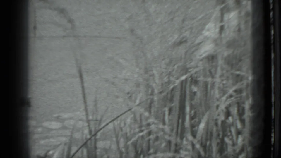 End frame of the 8mm pond view, with reeds in the foreground and open water beyond in black and white.