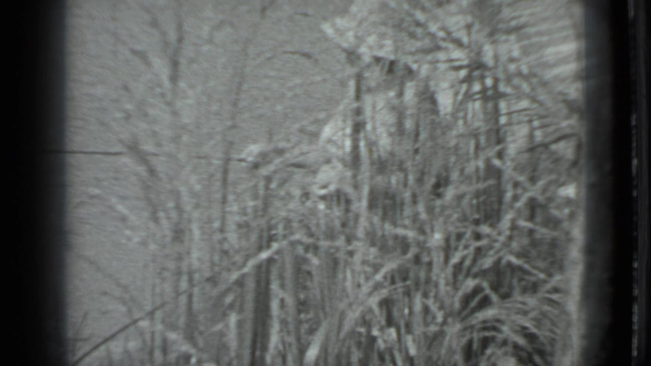Black-and-white 8mm frame from Moscow 1983 showing dense tall grass and bare branches near a beach setting.