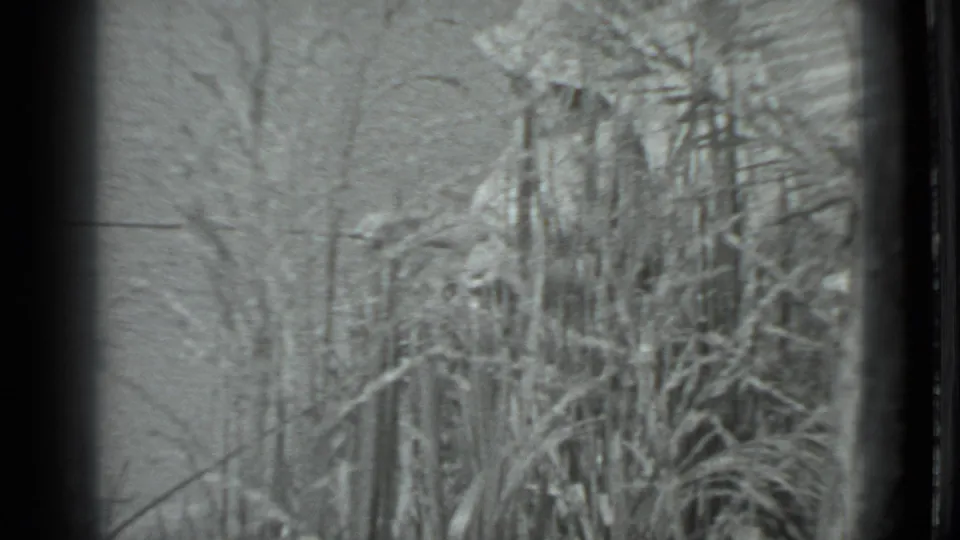 Black-and-white 8mm frame from Moscow 1983 showing dense tall grass and bare branches near a beach setting.