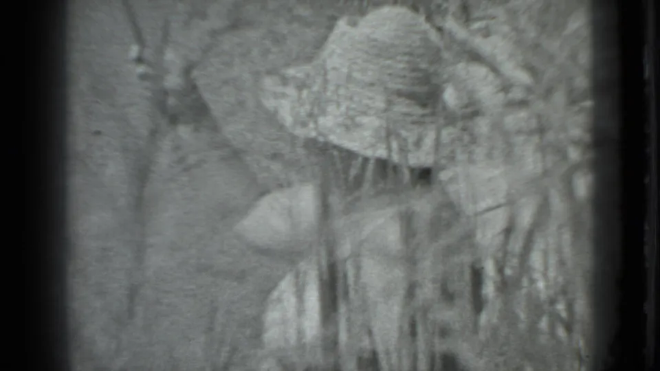 A woman in a wide-brimmed hat appears behind tall grass in black-and-white 1983 Moscow home-movie footage.