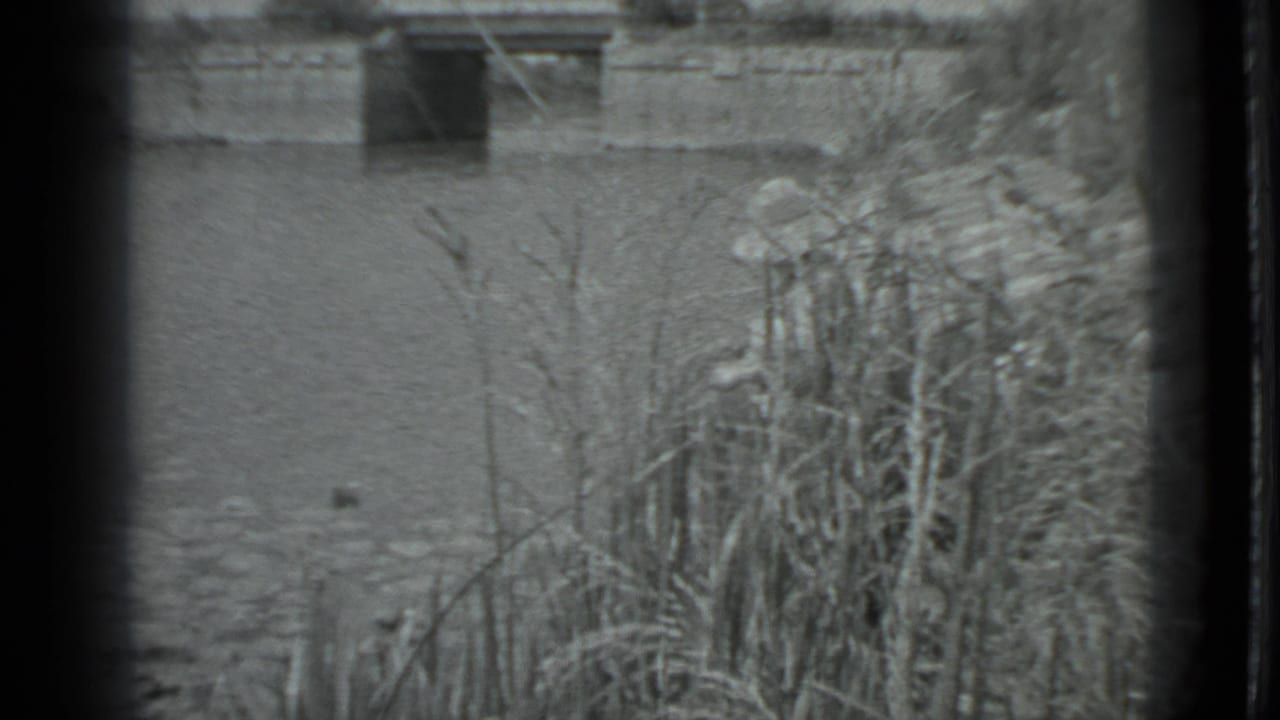 A fixed 1983 Moscow riverside view shows rippling water, dense reeds in the foreground, and a low structure across the river.