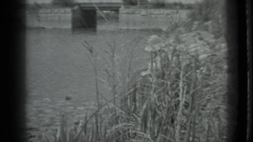 A fixed 1983 Moscow riverside view shows rippling water, dense reeds in the foreground, and a low structure across the river.