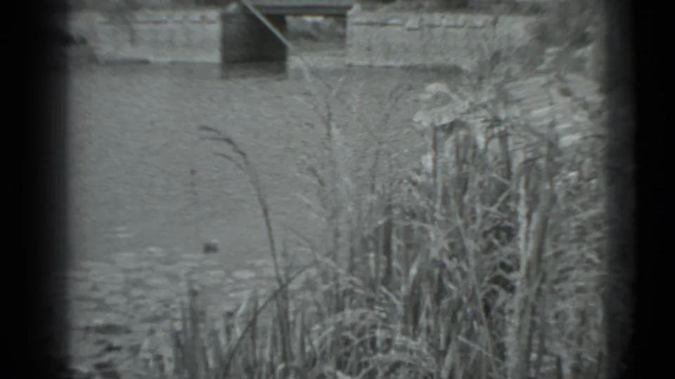 The home-movie frame holds on reeds and river water in Moscow, with a low structure visible on the opposite bank.
