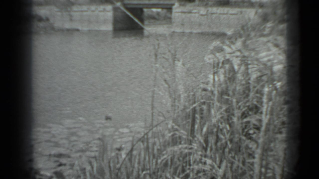 1983 Moscow 8mm frame showing tall reeds at the pond edge, rippled water, and part of a stone bridge beyond.