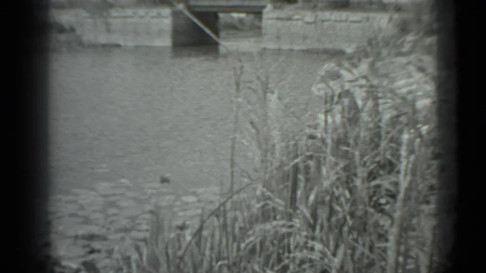 1983 Moscow 8mm frame showing tall reeds at the pond edge, rippled water, and part of a stone bridge beyond.
