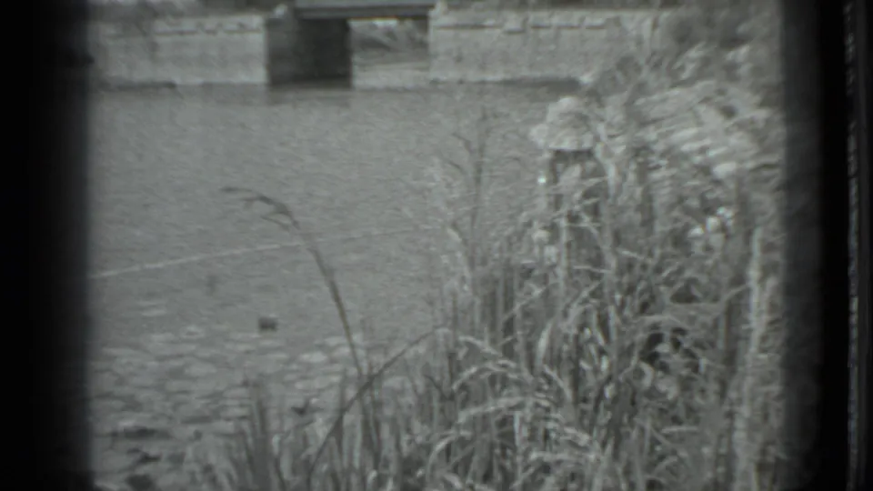 1983 Moscow home-movie frame with reeds leaning over pond water and a small dark floating object visible near the lower waterline.