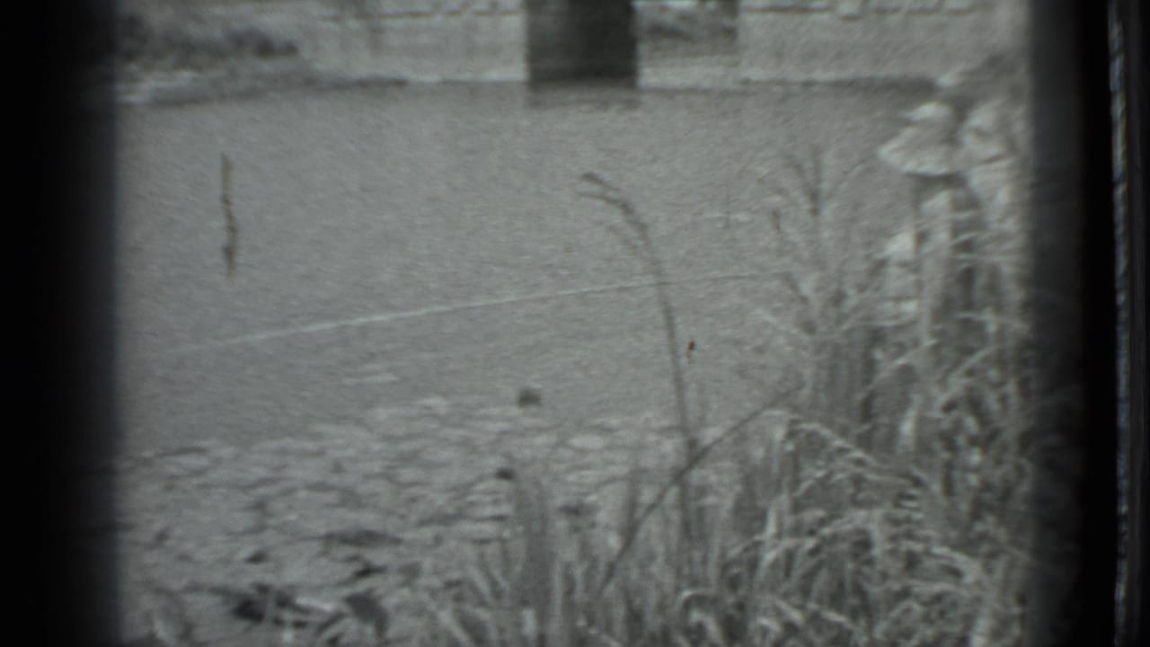 1983 Moscow 8mm frame showing canal water, reeds, stones, and a concrete bridge or culvert beyond the bank.