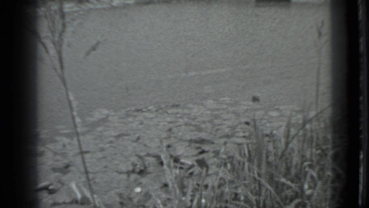 Black-and-white 8mm view of a Moscow canal edge, with reeds, shallow water, rocks, and concrete infrastructure in back.