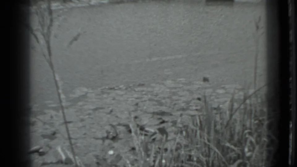 Black-and-white 8mm view of a Moscow canal edge, with reeds, shallow water, rocks, and concrete infrastructure in back.