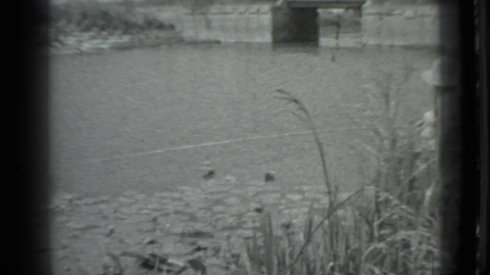 Home-movie frame of a quiet Moscow canal, showing water, tall grass stems, muddy bank texture, and a bridge opening beyond.