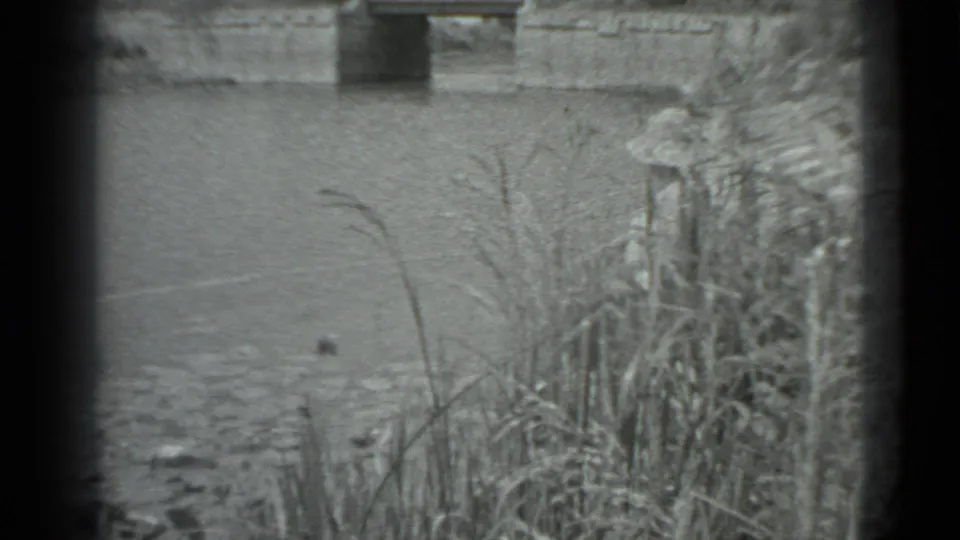 1983 Moscow canal view with wind-swept reeds, calm water, stones, and a concrete bridge or culvert at the far bank.