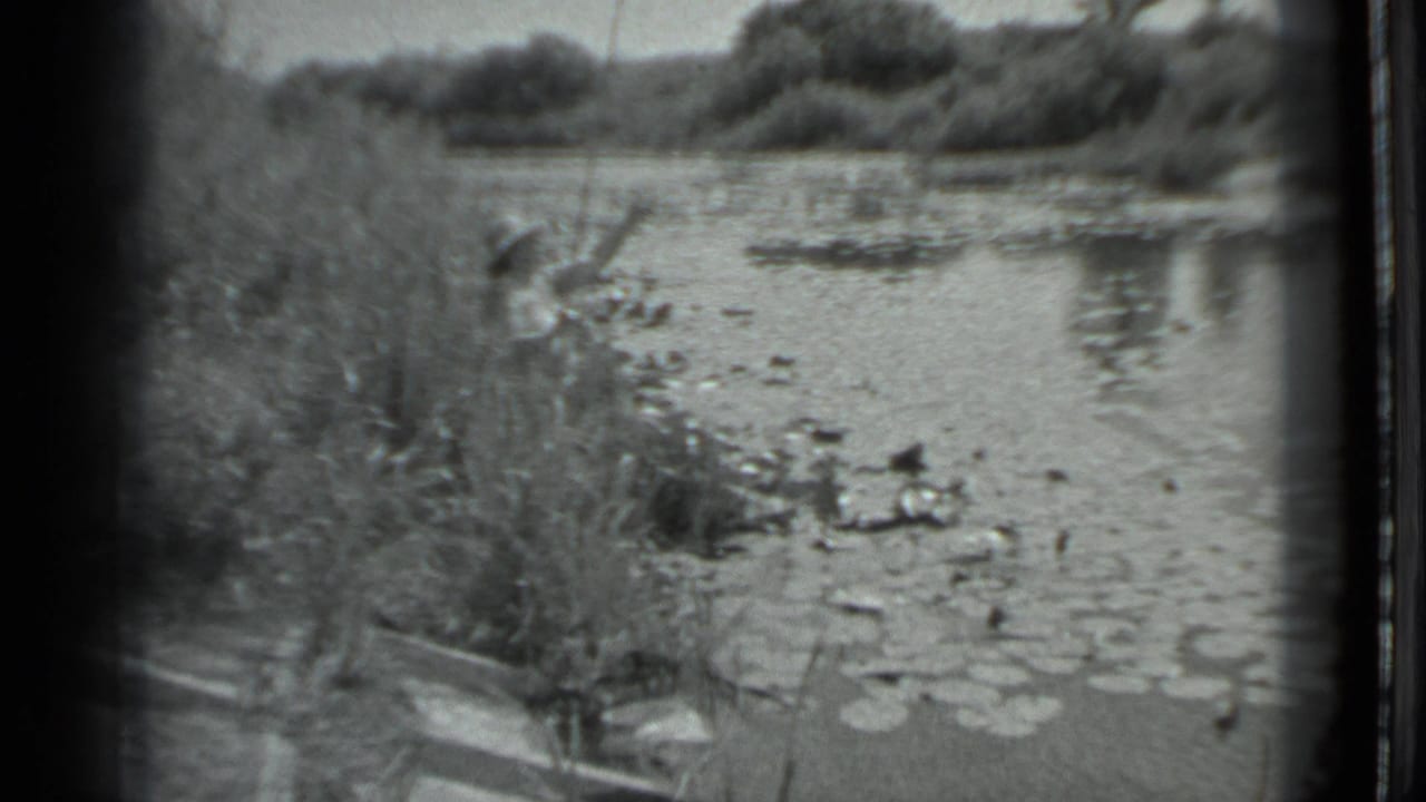 A woman fishing is partly hidden by tall grass on a lily-pad-covered lakeshore in the 1983 Moscow home-movie clip.