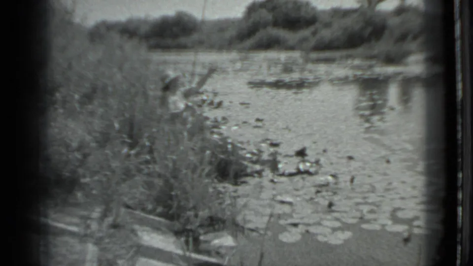A woman fishing is partly hidden by tall grass on a lily-pad-covered lakeshore in the 1983 Moscow home-movie clip.