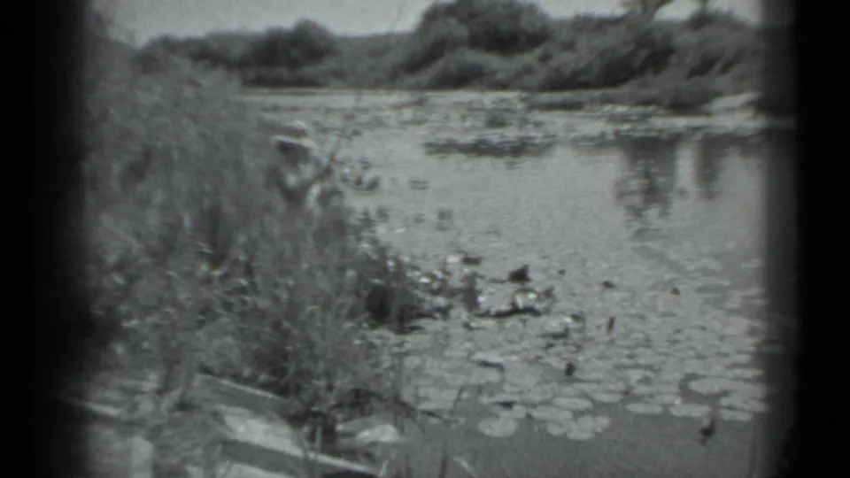 Tall lakeside grass frames the fishing figure and lily pads in this short 1983 Moscow 8mm home-movie view.