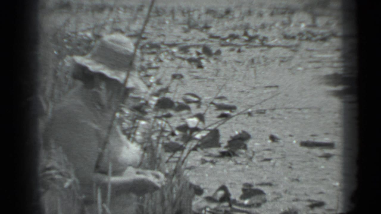Mature woman in a straw hat seated beside tall grass on a rocky riverbank.