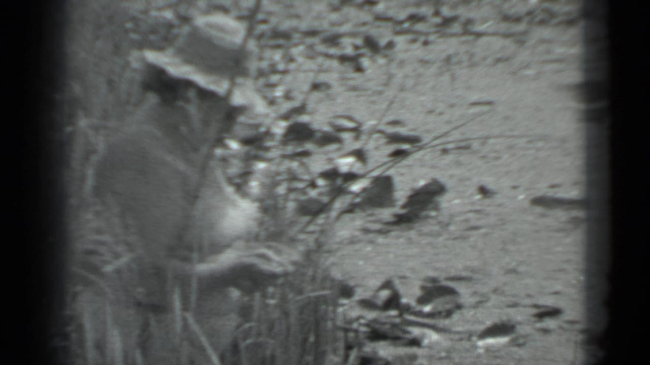 Woman in a hat seated by reeds and stones near the river edge.